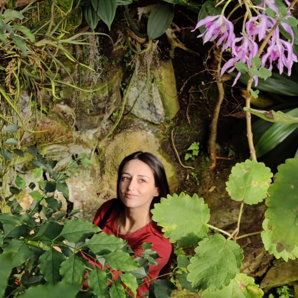 Sonia Celestini
