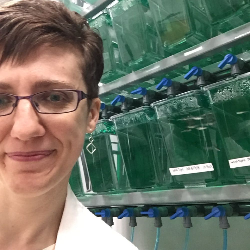 Dr. Kim McArthur