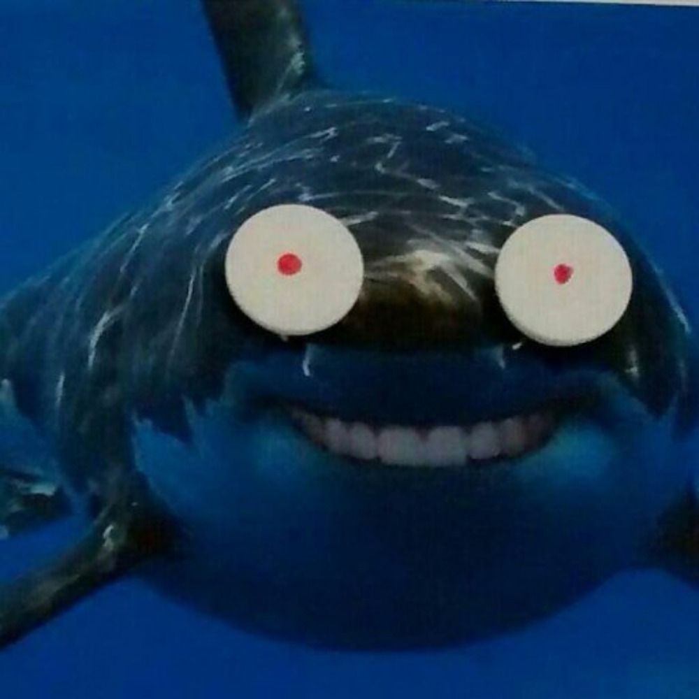 nullfury
