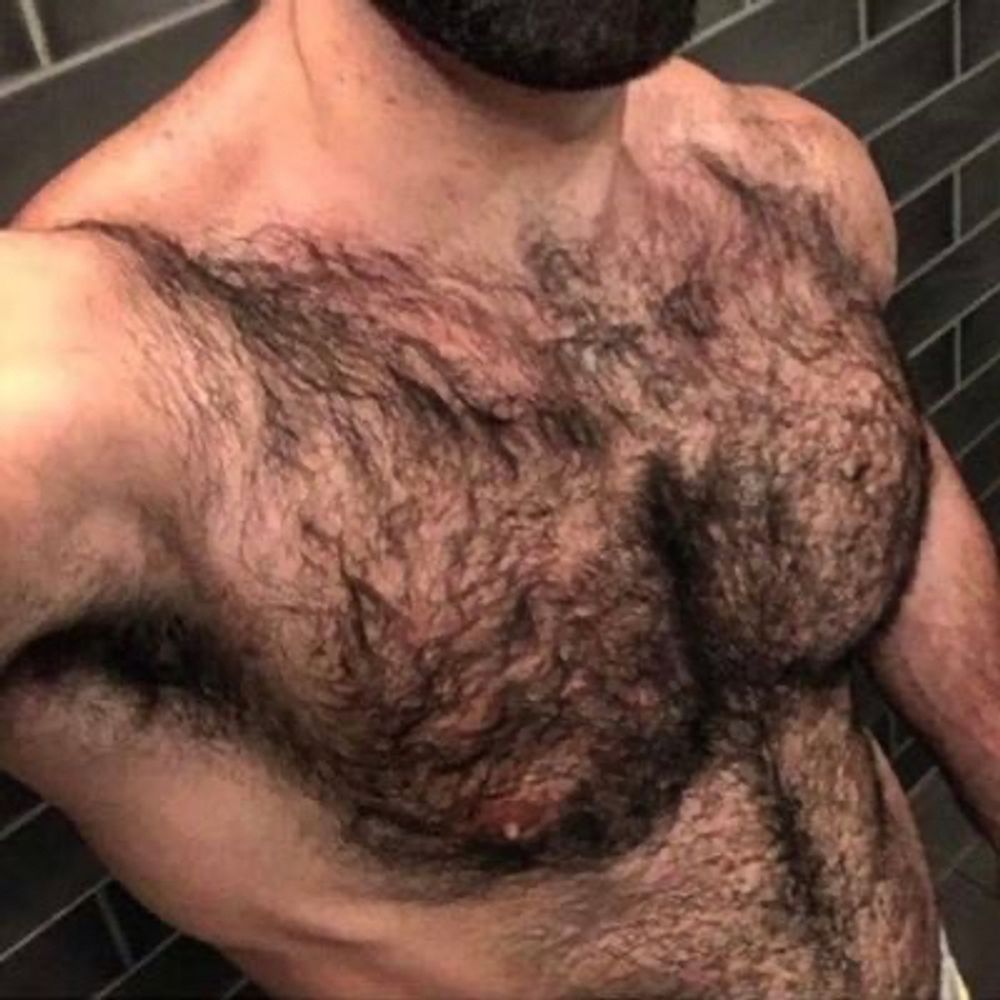 Hairy Top Bi