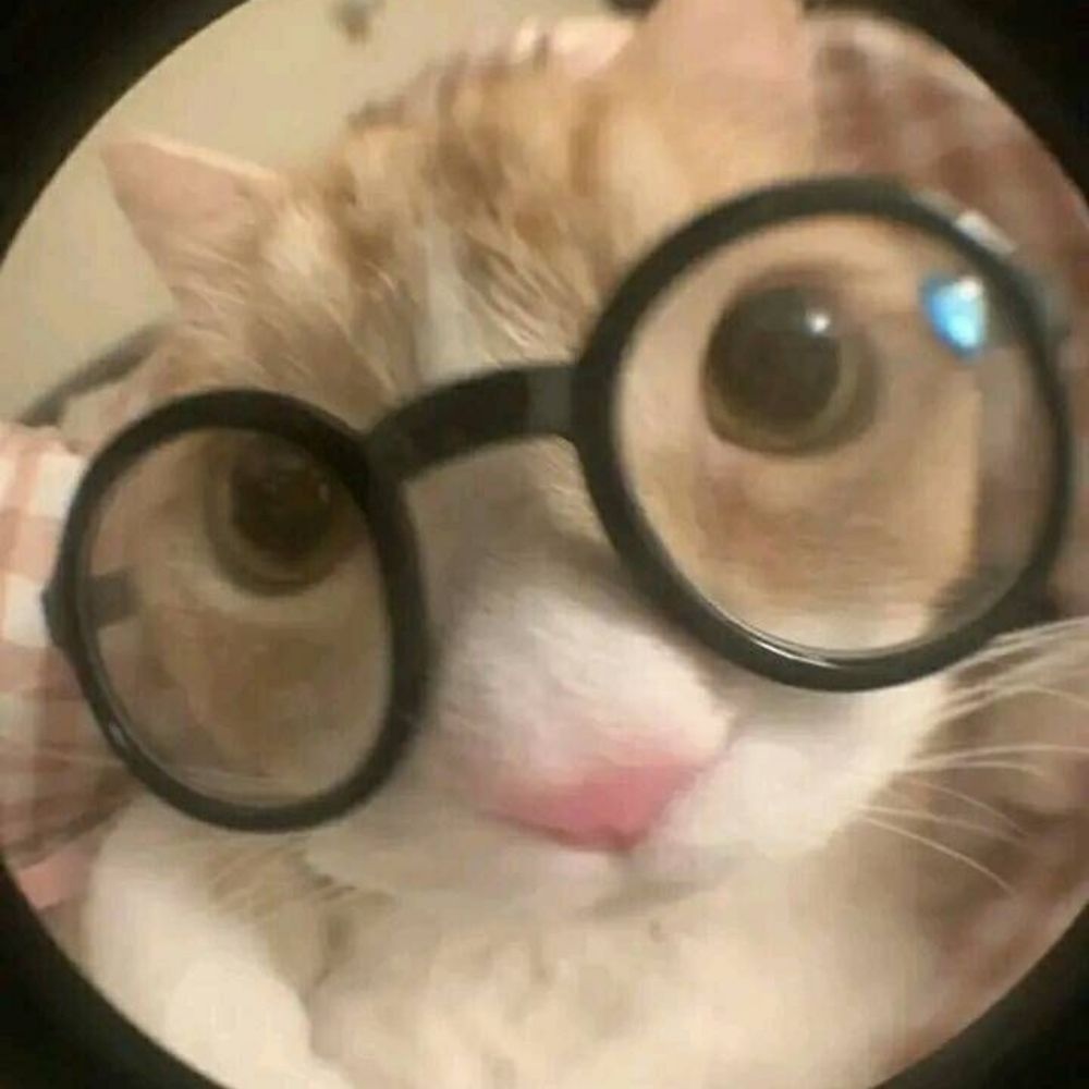 teozinho!