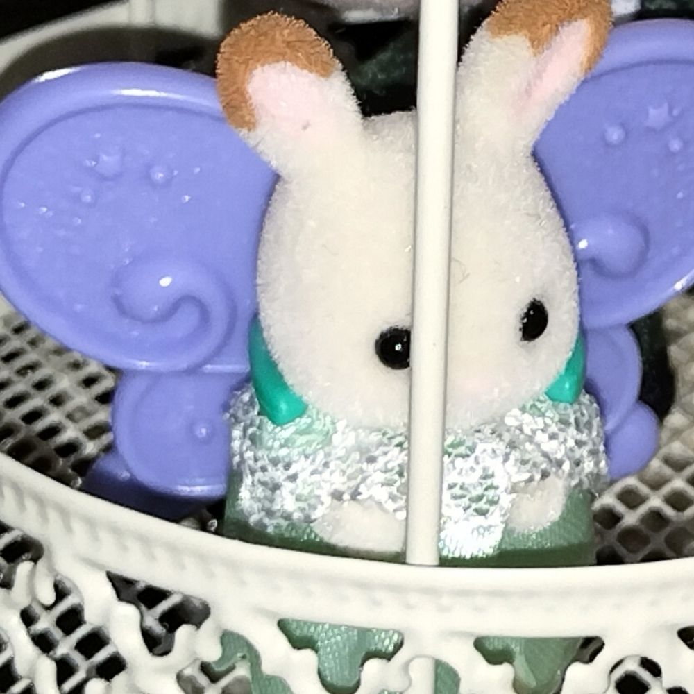 ロイヤルハムスティー
