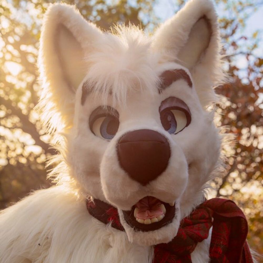 RuvikWolf 