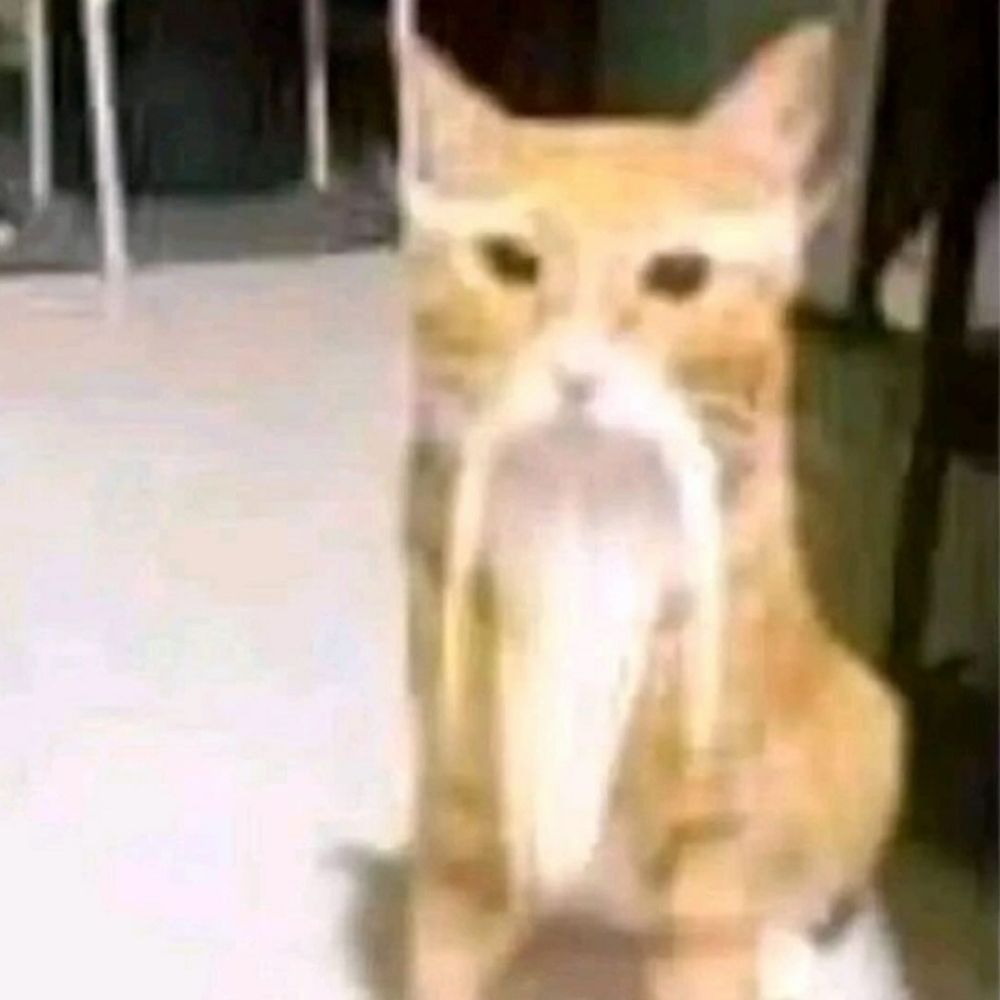 豆拌漿