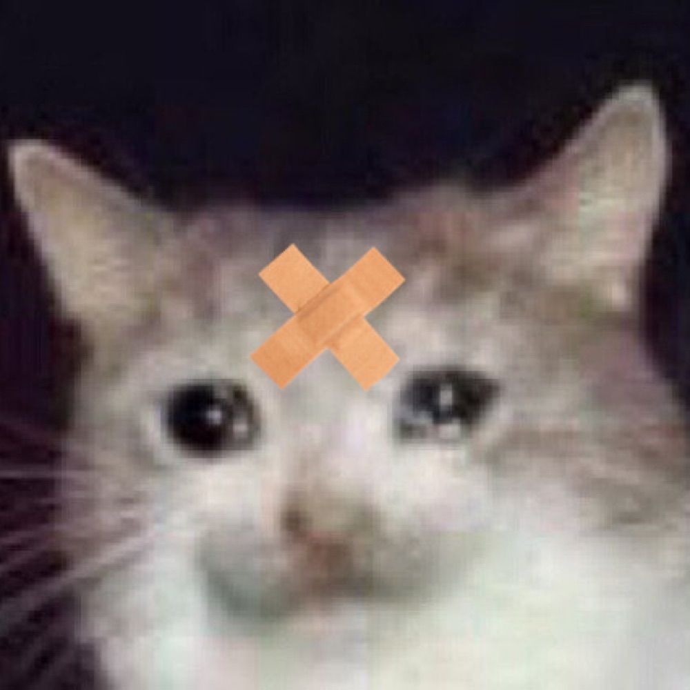 Catsudon