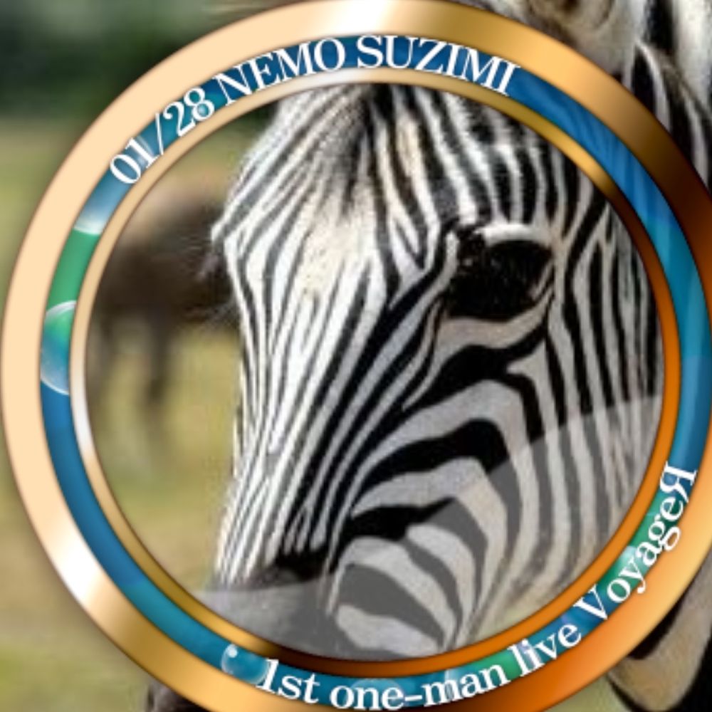 ZEBRA( ¯•ω•¯ )/🌚