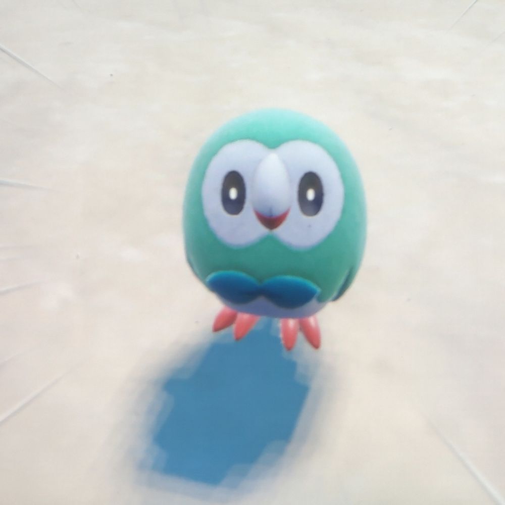 コカトリス🐦