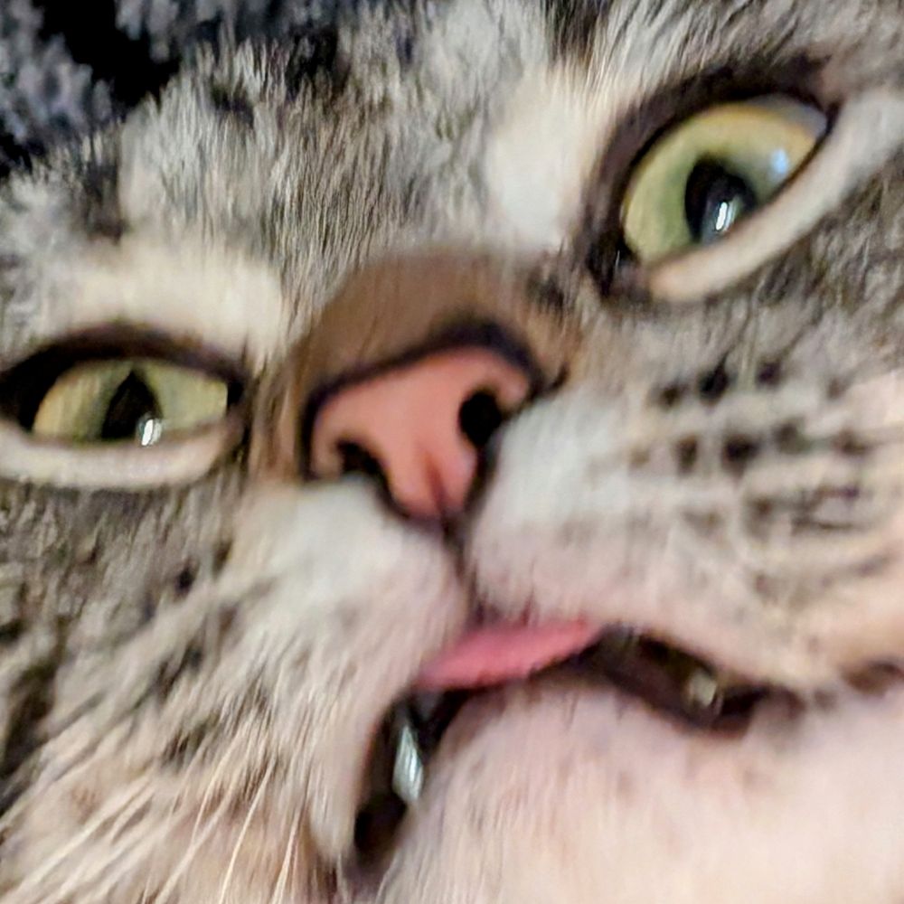Widmo