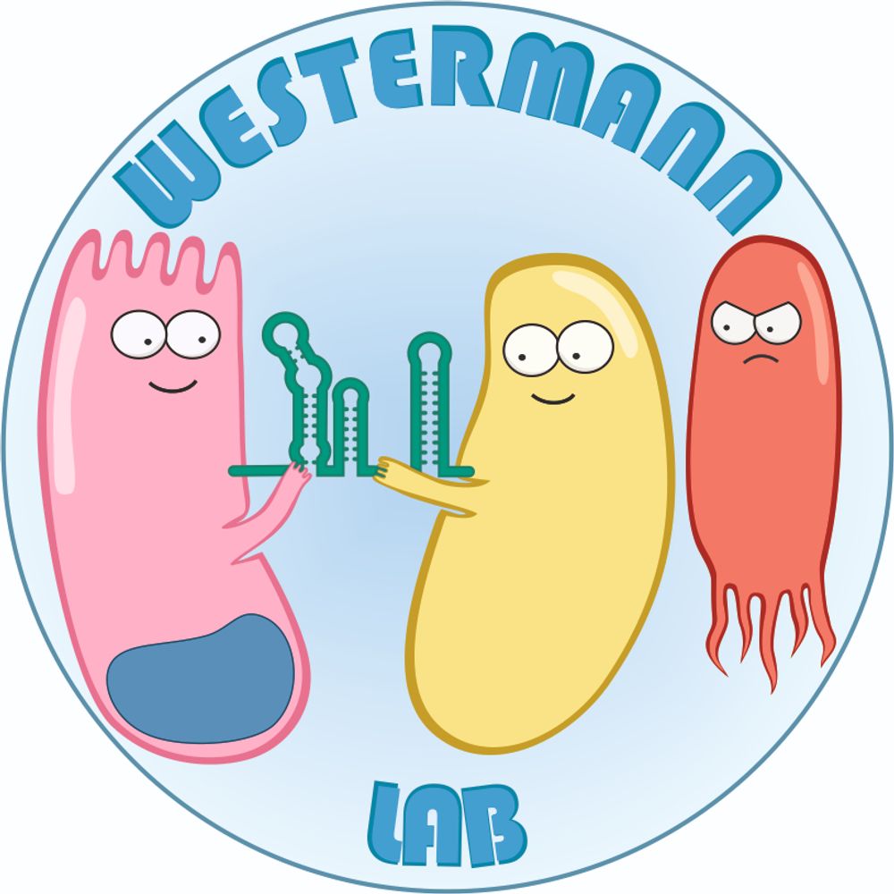 Westermann Lab