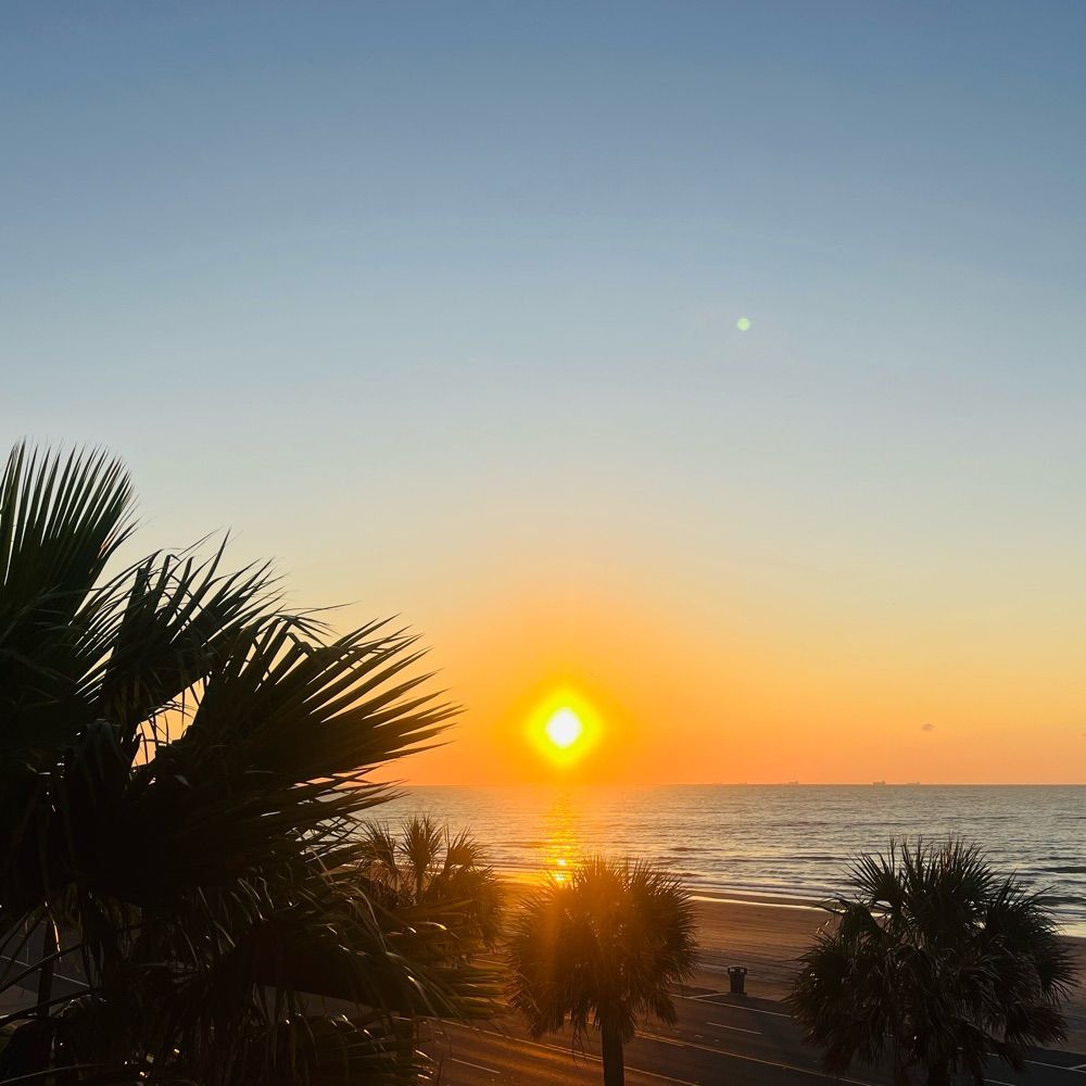 Galveston Beach - Absolute Paradise Vacation Rental Condo ☀️🐬🐠🍤🛳️🏖️