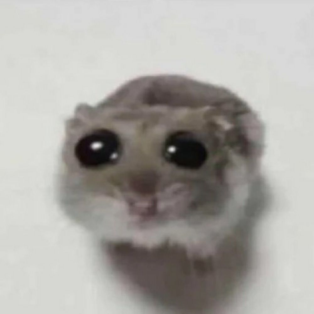 laraloops