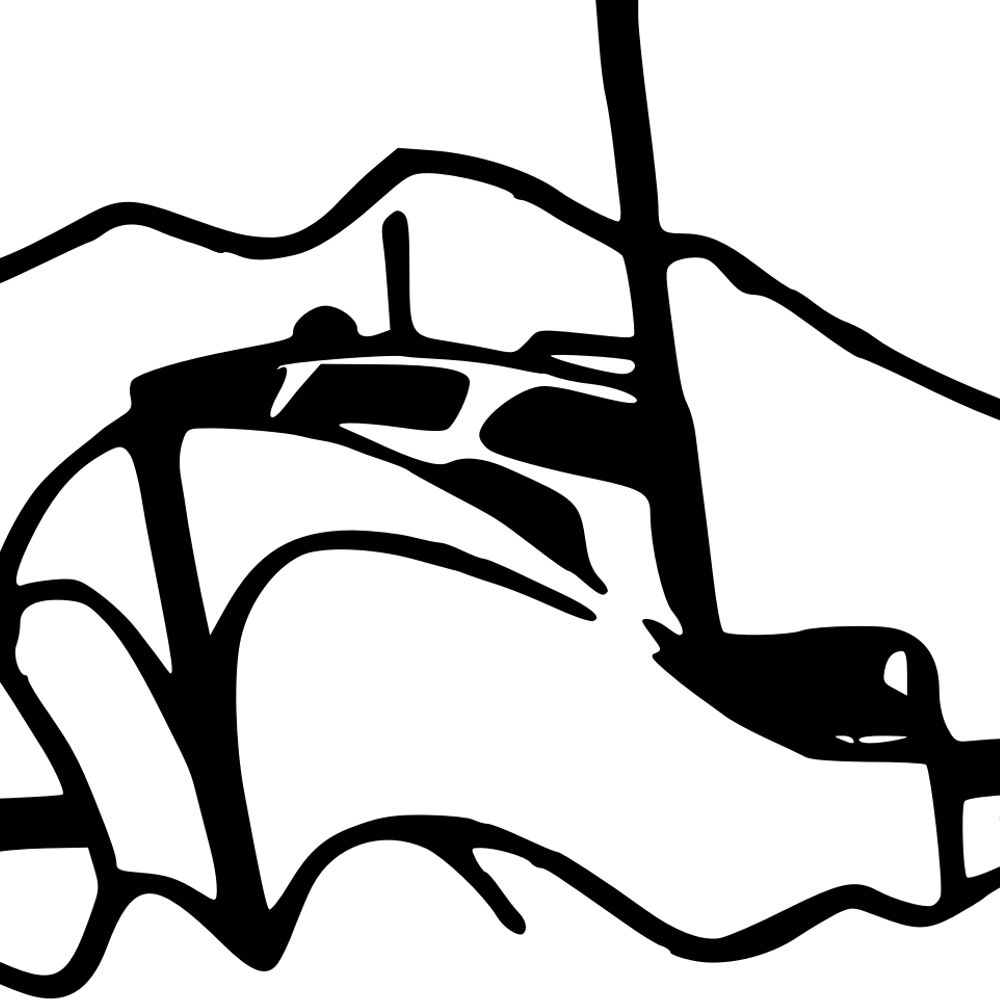 Bristol Bay Native Association