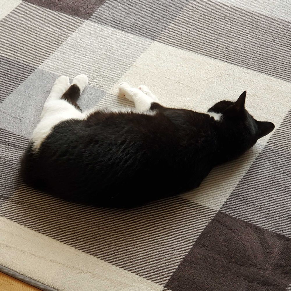 さき