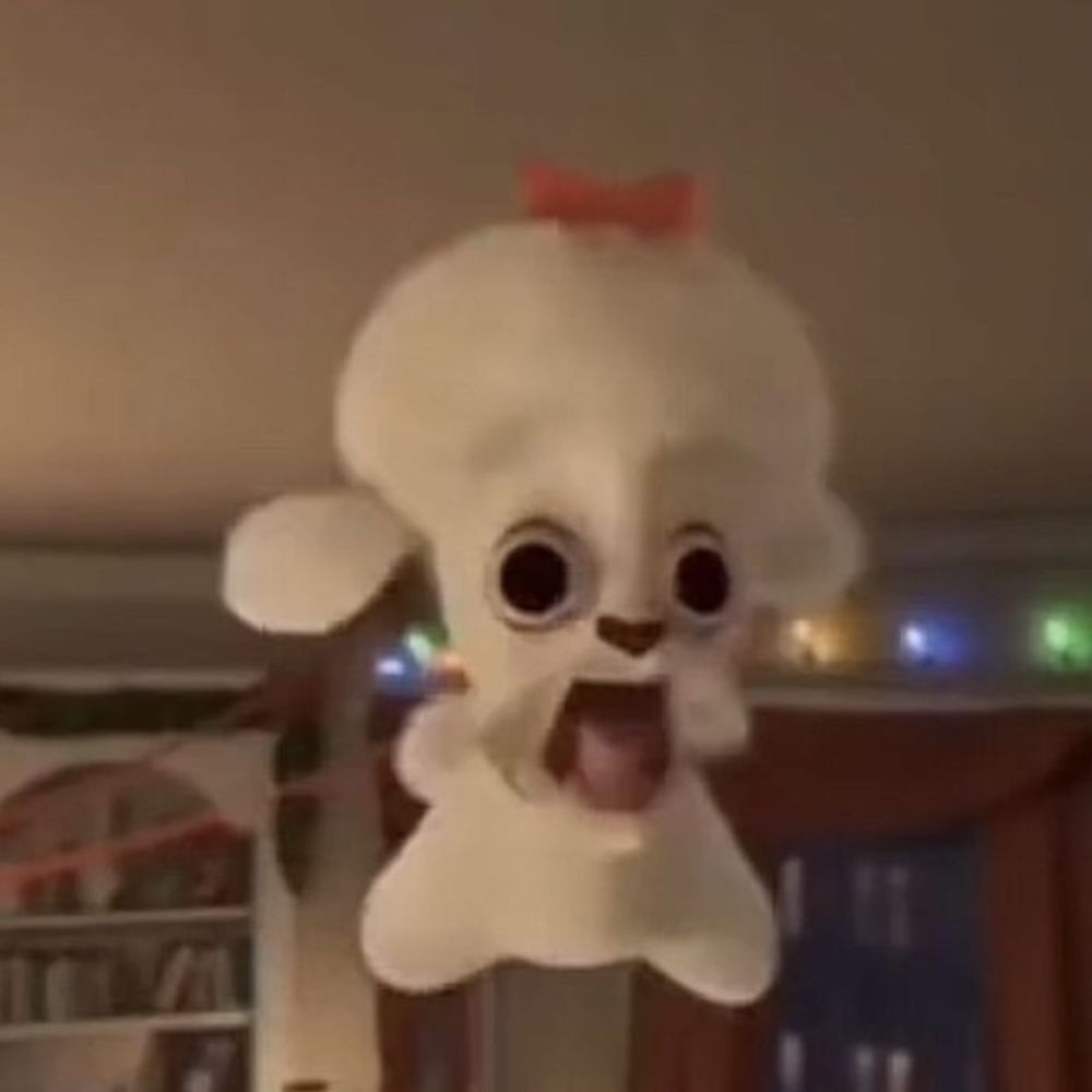kimmaye