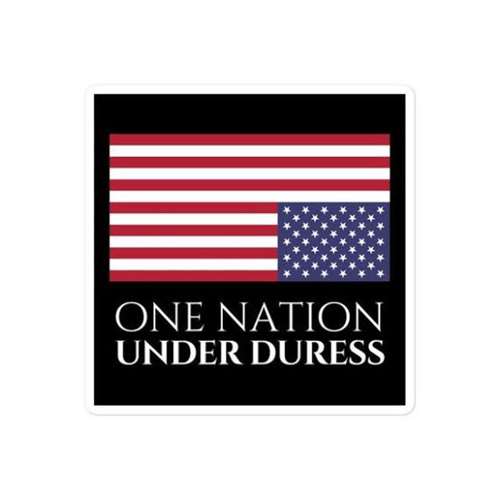 🚨🚨🚨🚨🚨