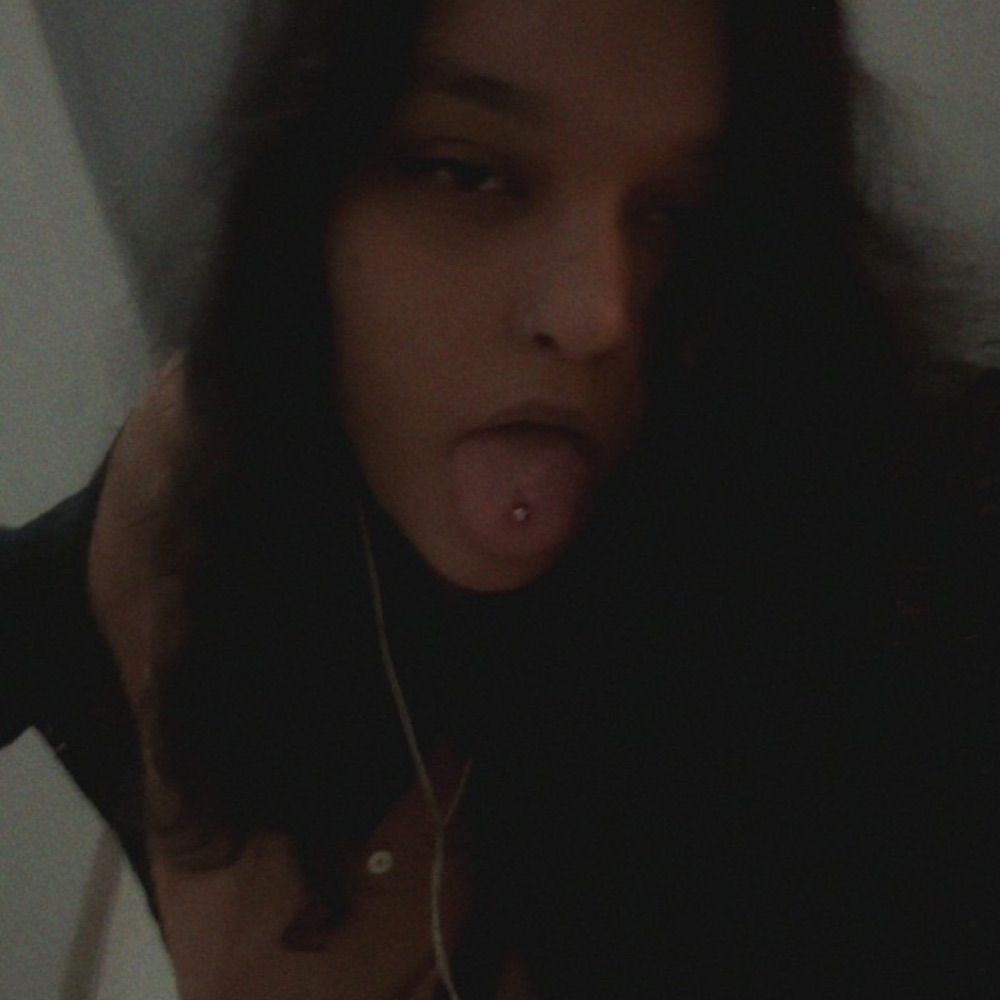 pariah dog