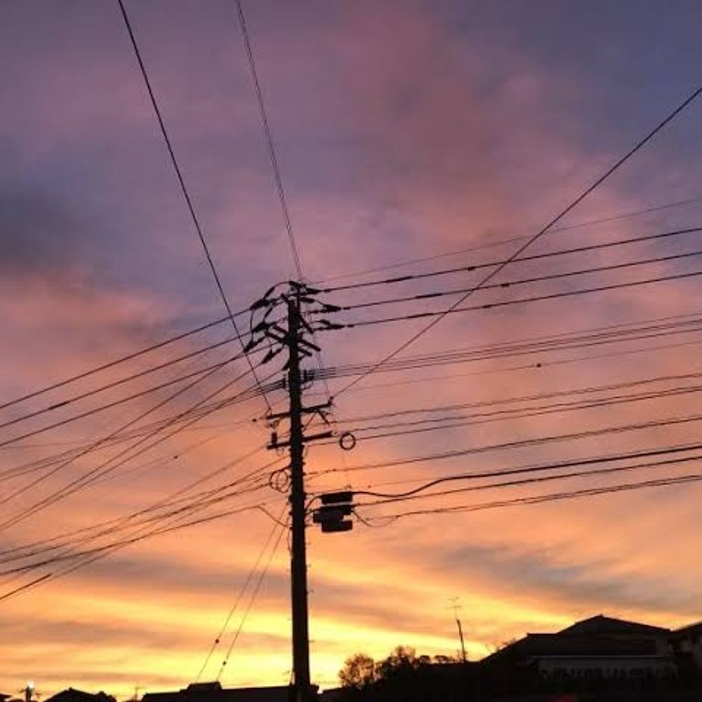 電柱あるこ