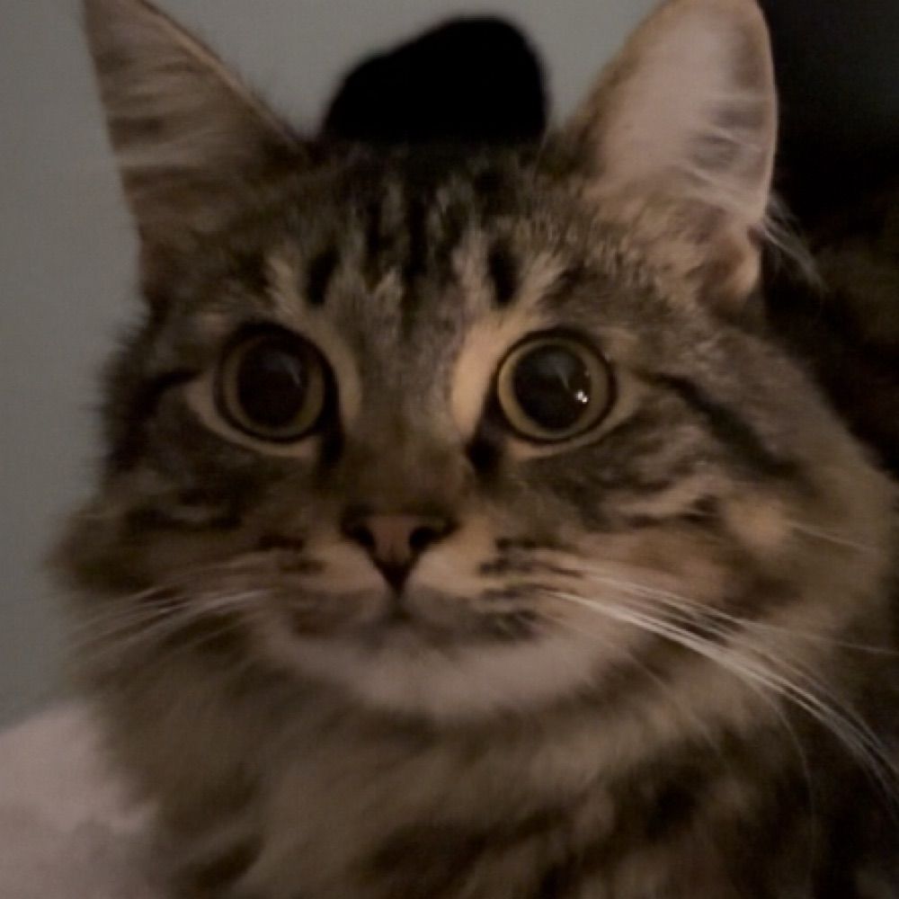 ila