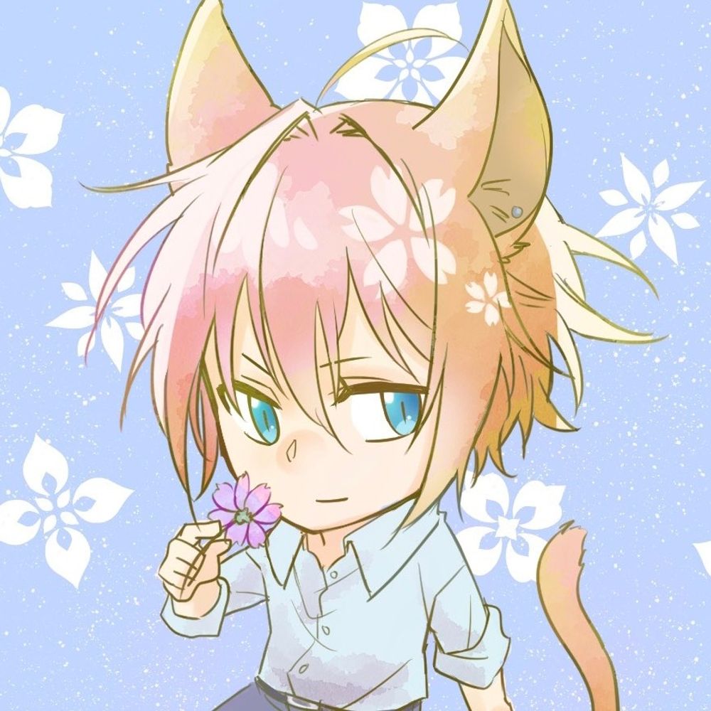 にゃむ☆
