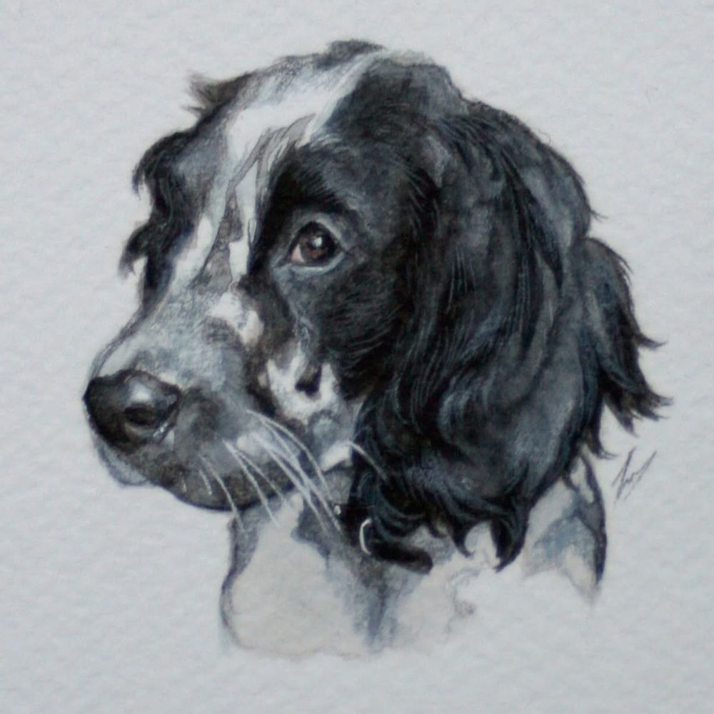 Jessica King | Pet Portrait Artist