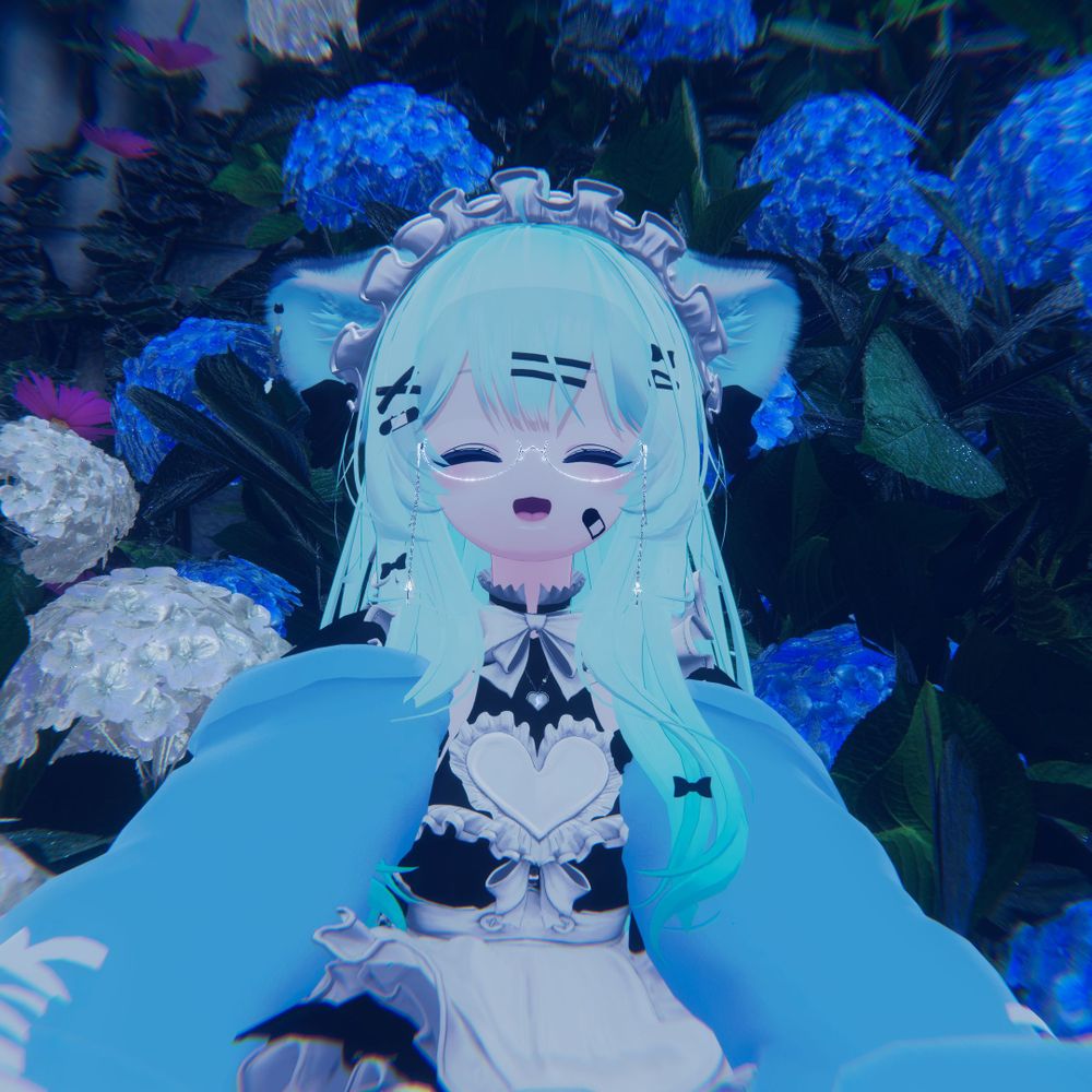 きゅうちゃん