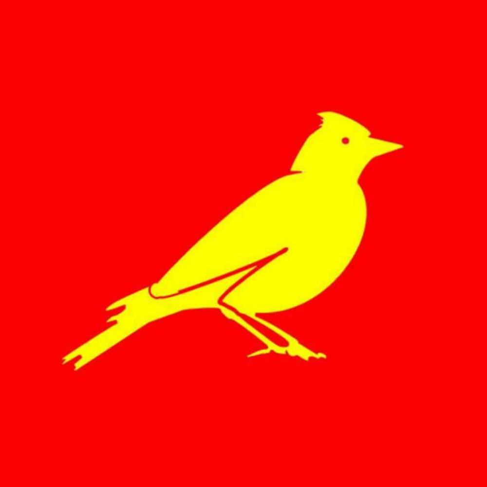 Worthing Larks