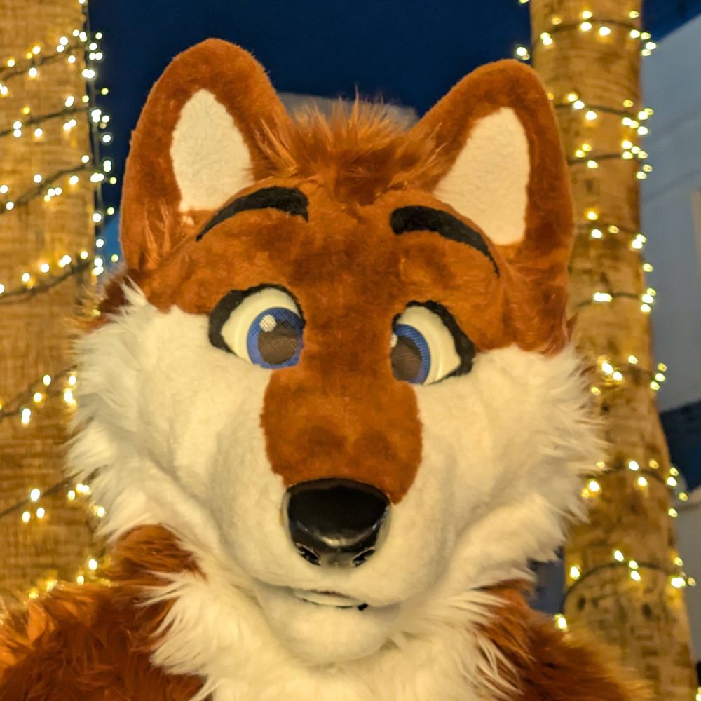 JT Wolf!