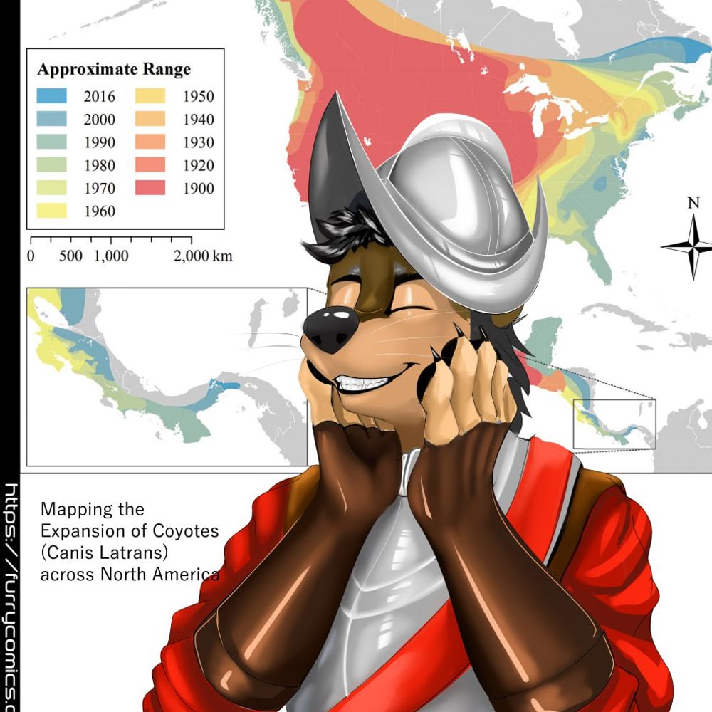 El Conquista Yote