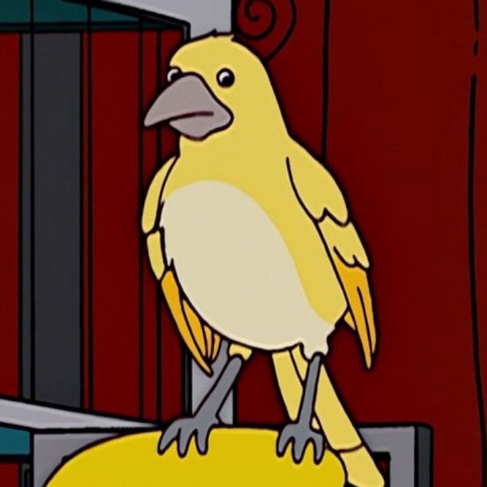 canary m burns