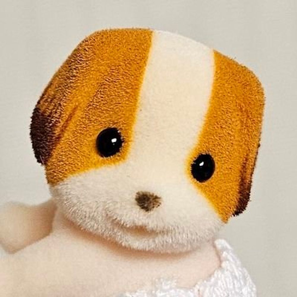 왕왕이
