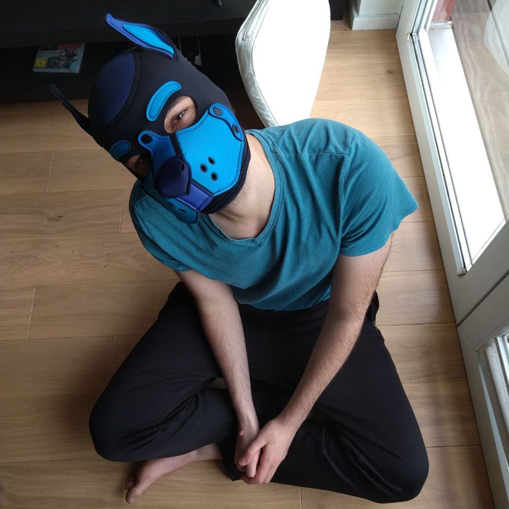Pup Jordi