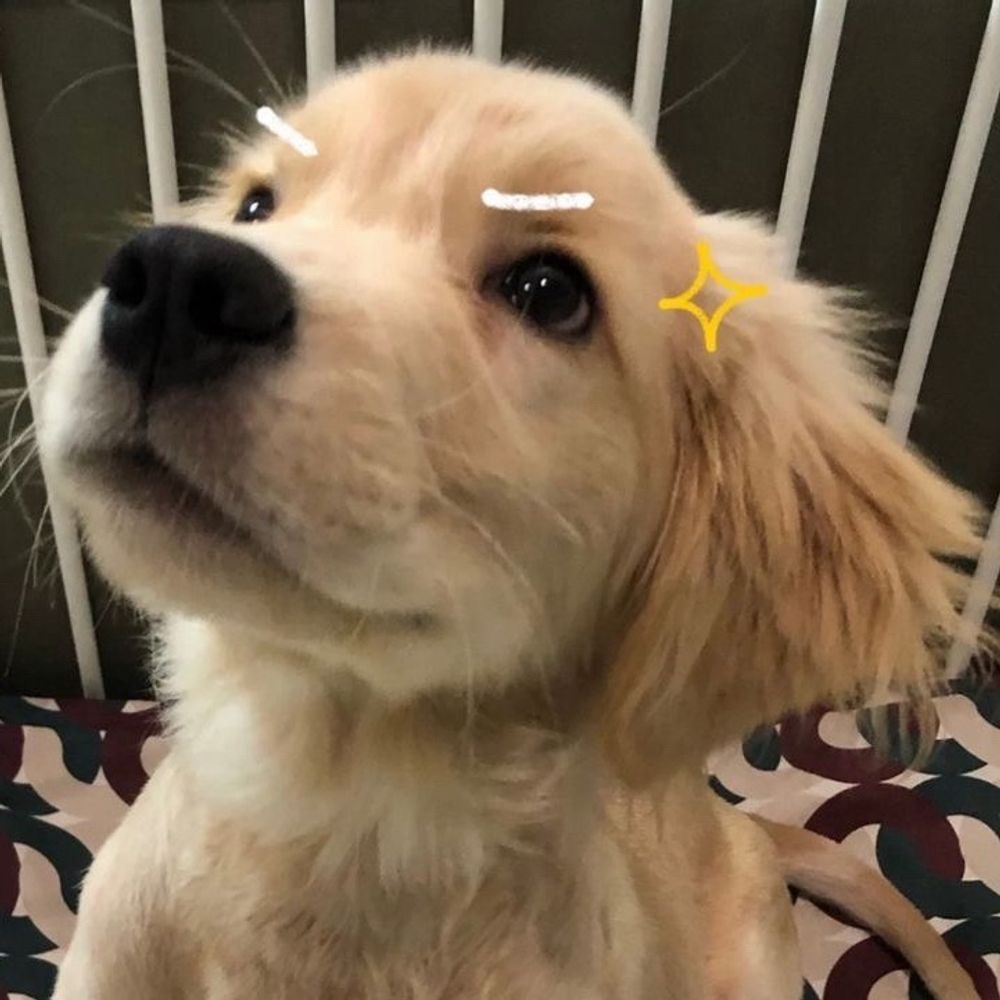 ⭐️