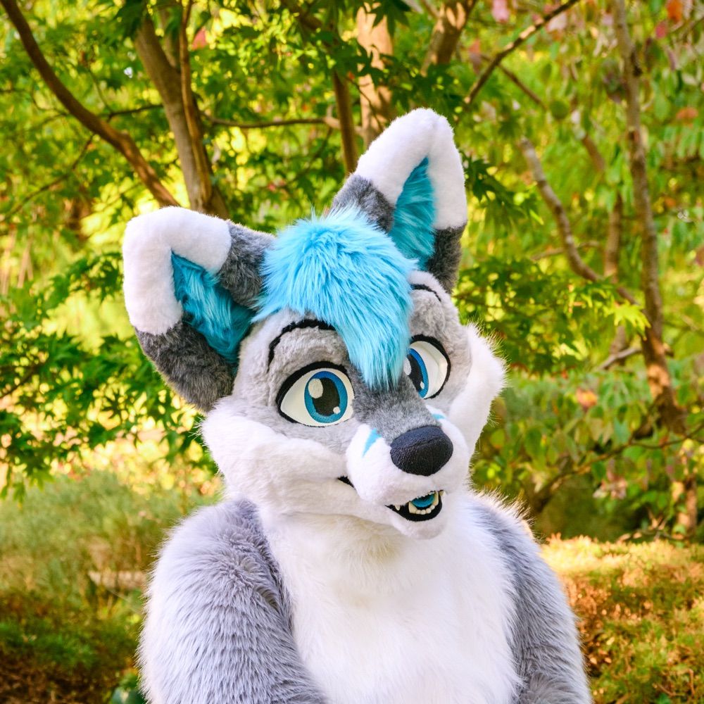 ThoryFox 