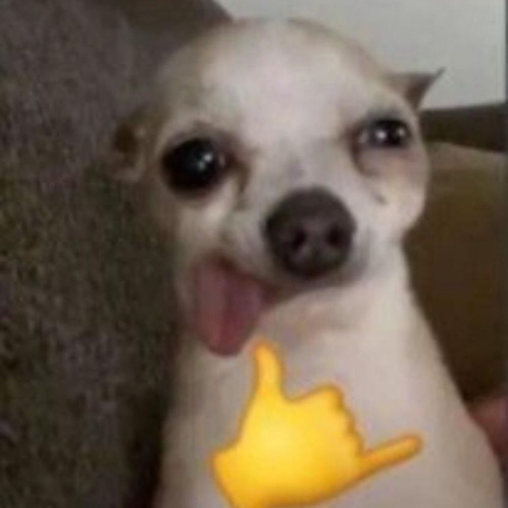Tim