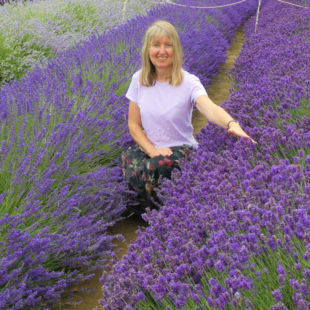 Joy Hibbins