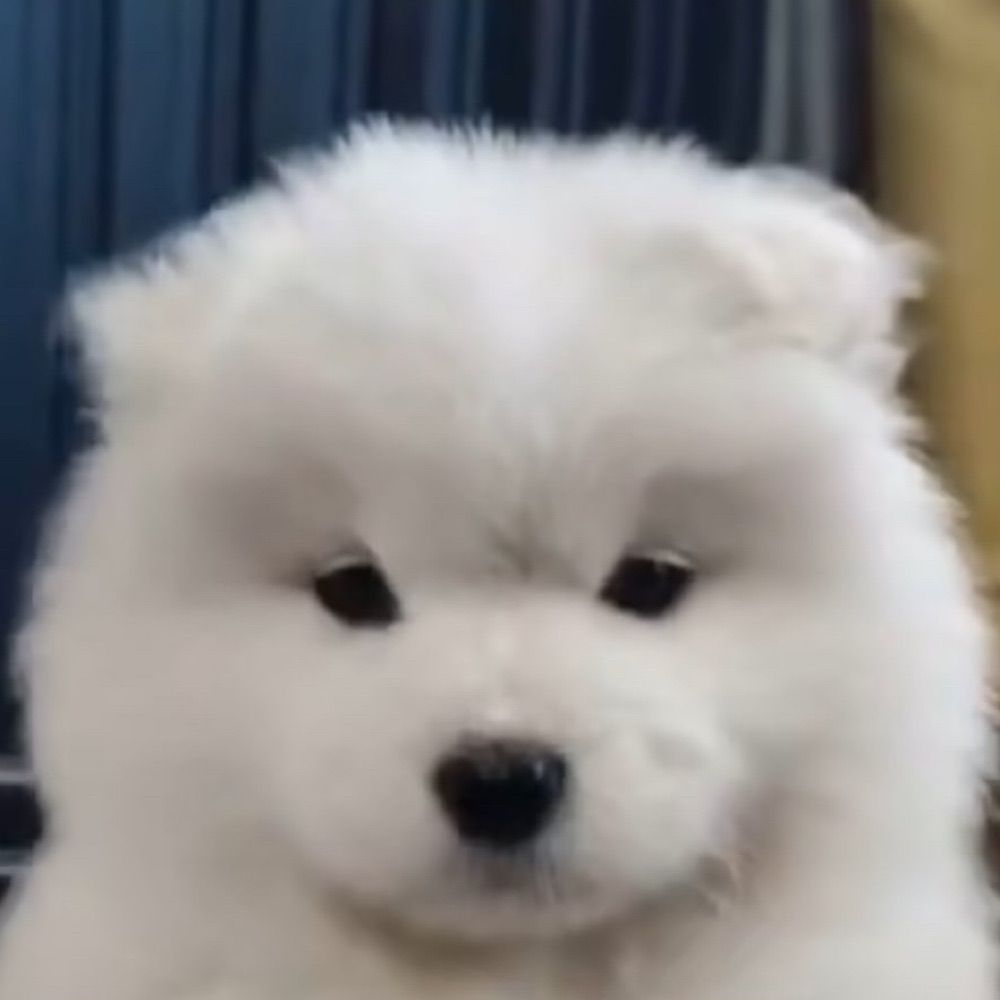 น้องพิ้นพิ้นนาตะ