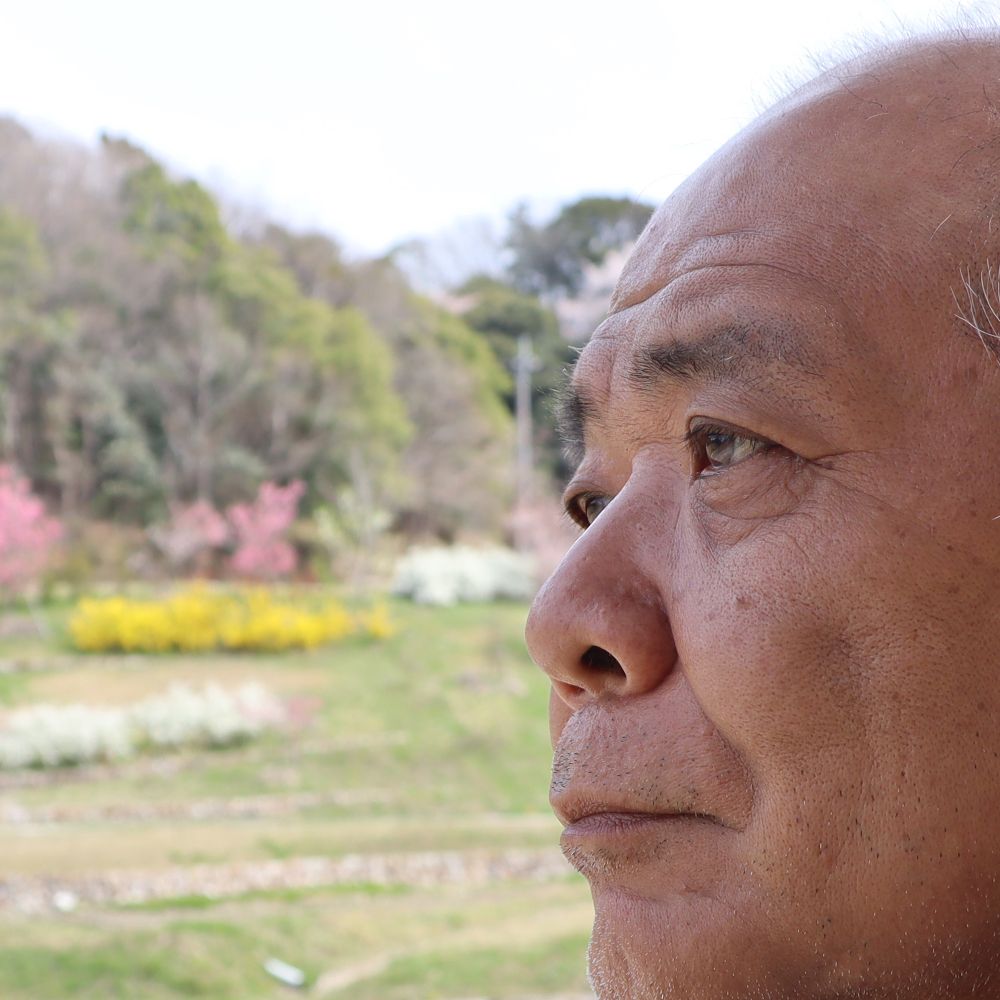 櫻井正男