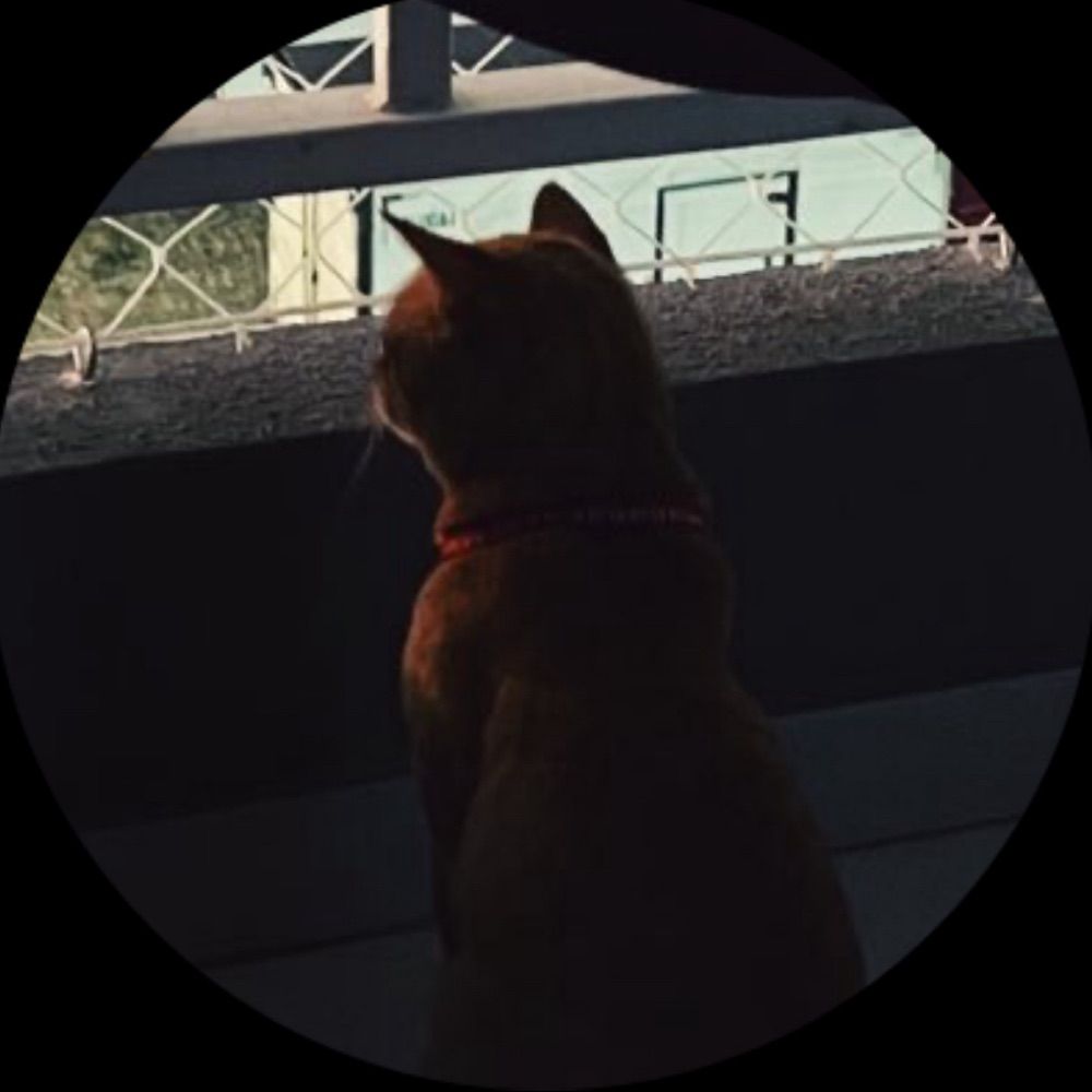 CAJU 🧡