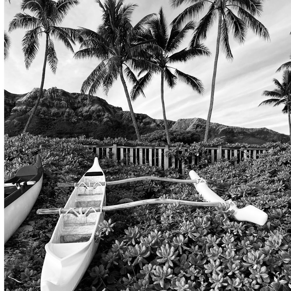 Makaloa808