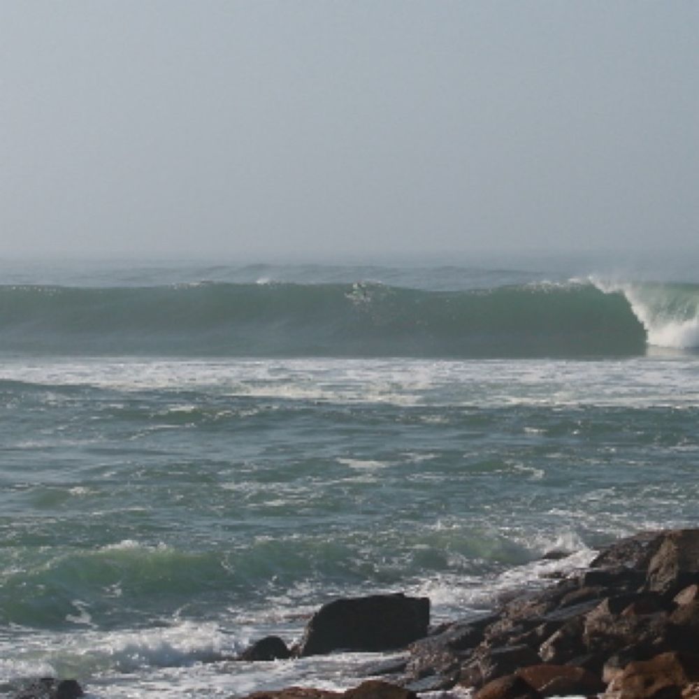 Surfing
