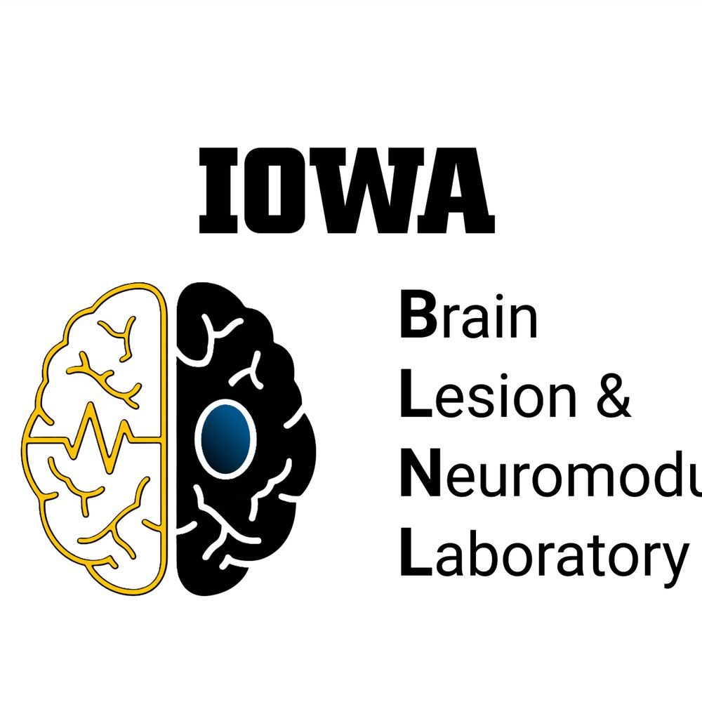 Iowa Brain Lesion and Neuromodulation Laboratory