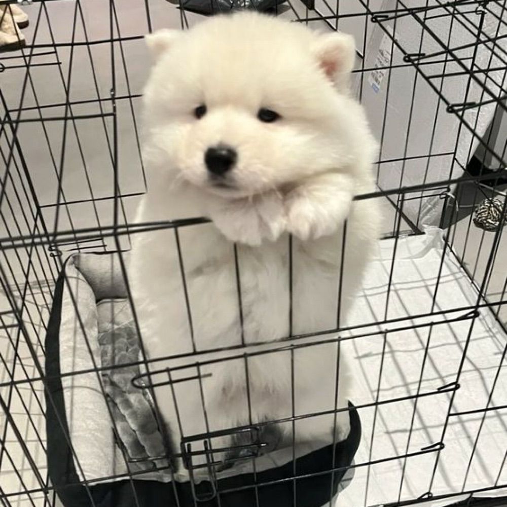 오늘 취미 내일 후회