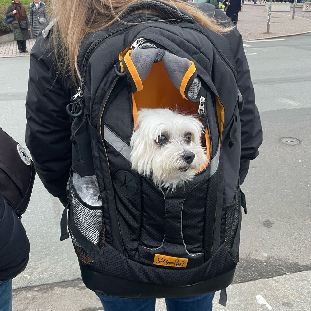 Ovind