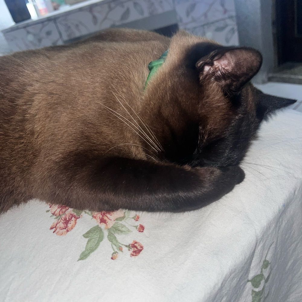 Marjô