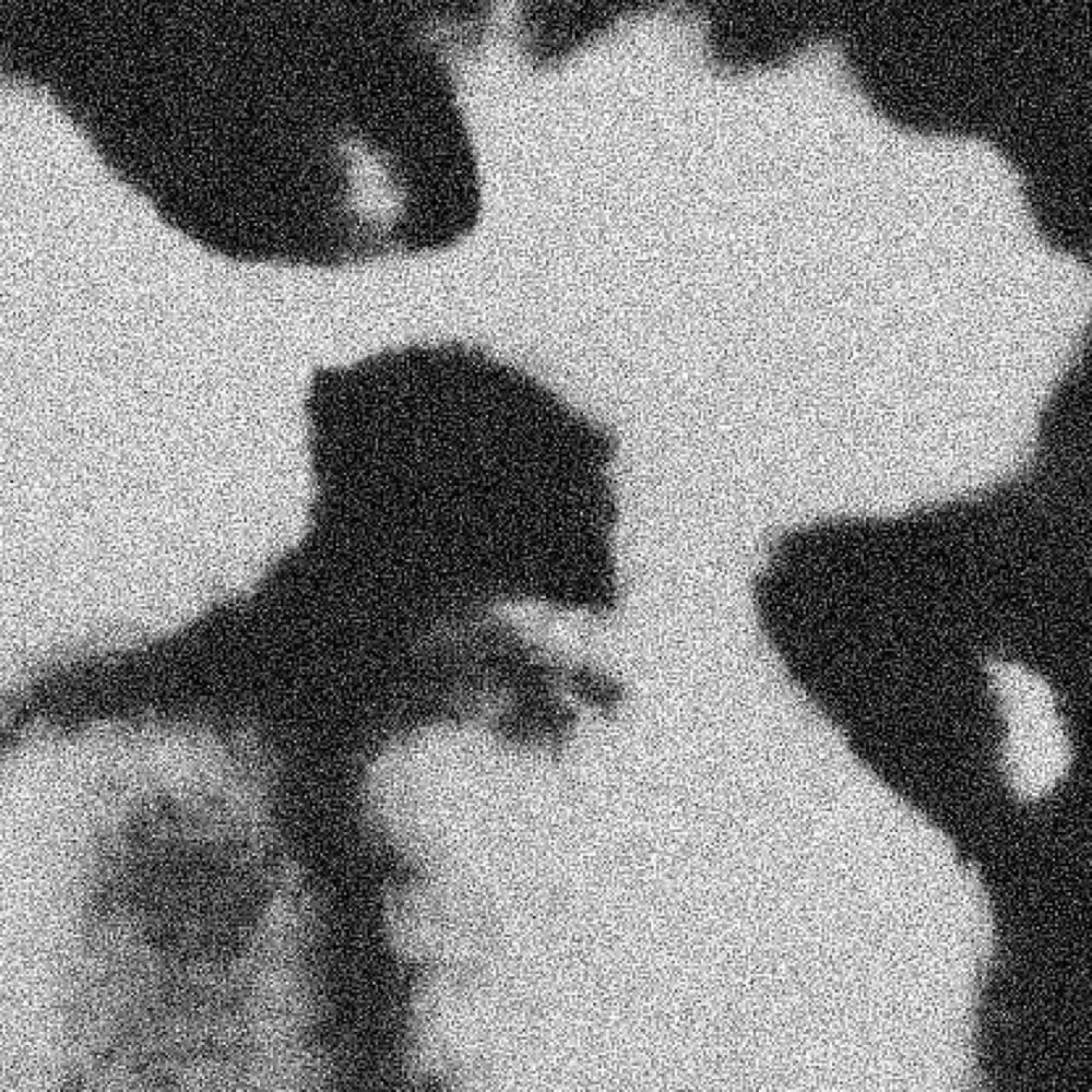 Chandler B. Demented