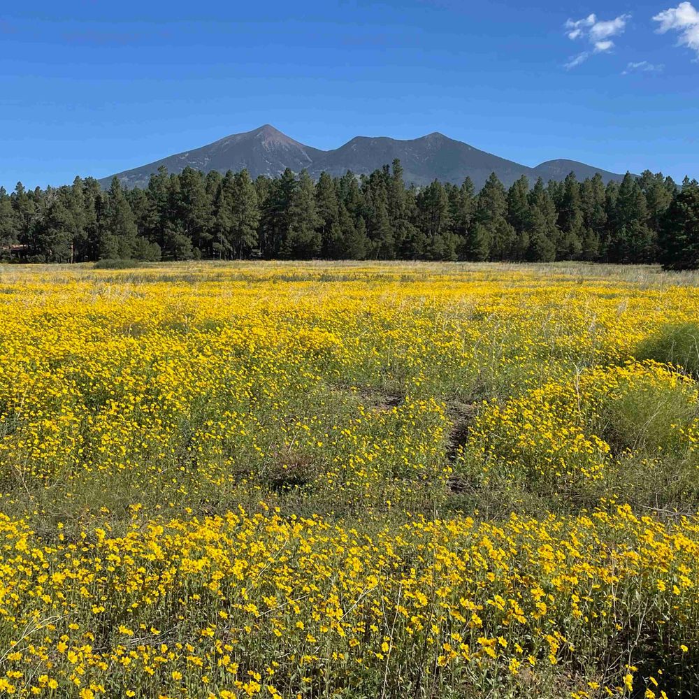 Northern Arizona University School of Earth and Sustainability