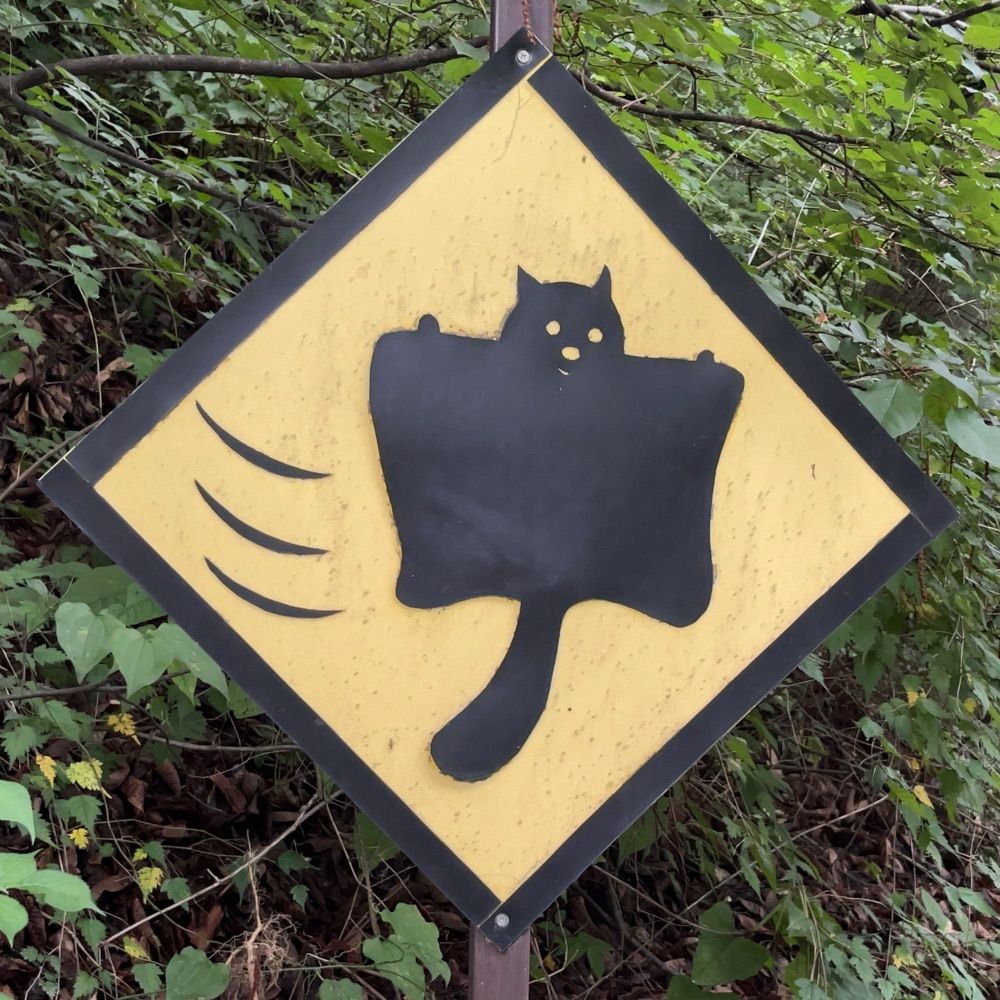 みのかわ
