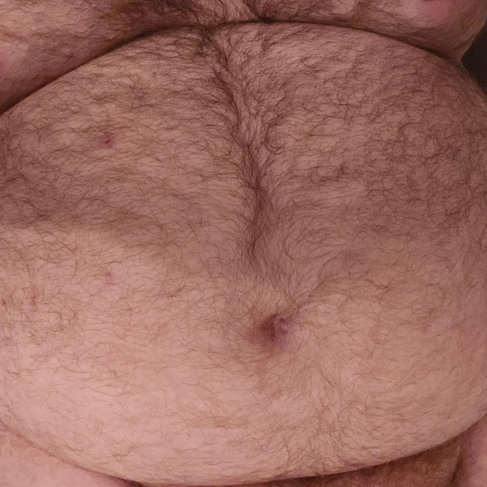 Furry Ginger Bear Cock&Belly 🔜 TFF