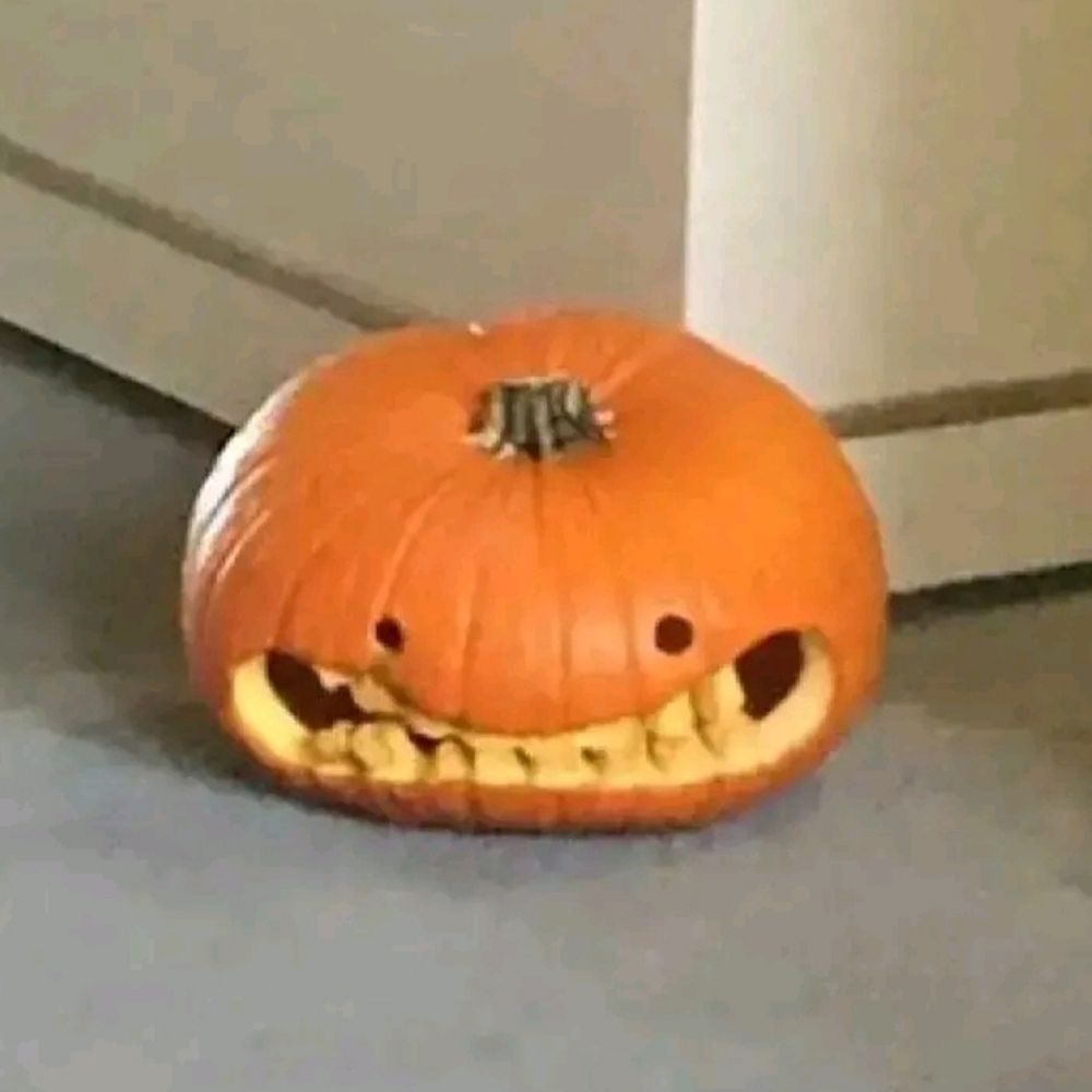 ✧제3의 우주먼지✧