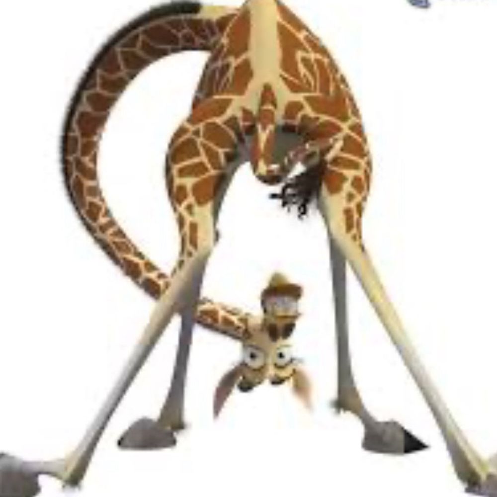 Melman la girafe